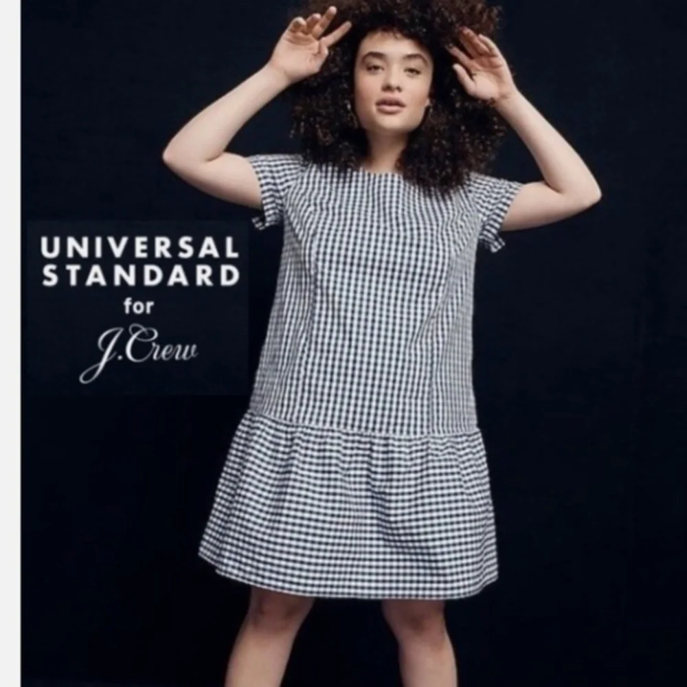 Universal Standard X J. Crew Gingham Drop Waist Blue White Mini Dress Nwt XS